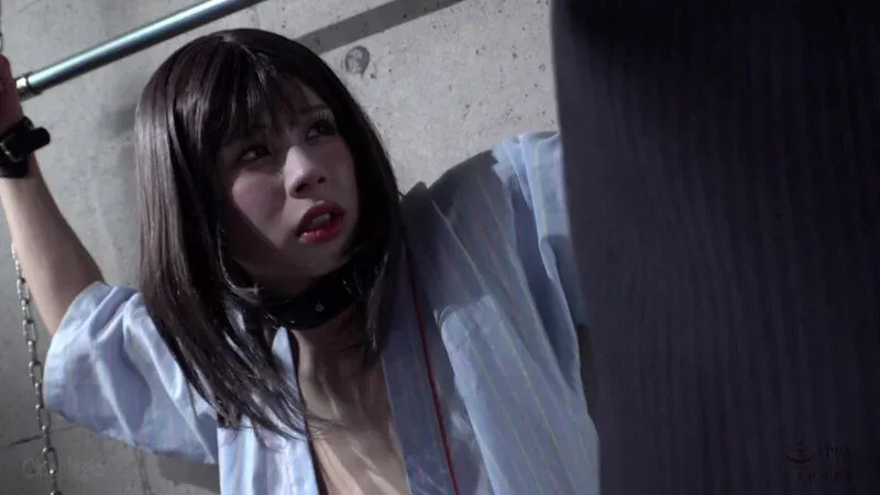 ニューハーフ・男の娘のAV女優